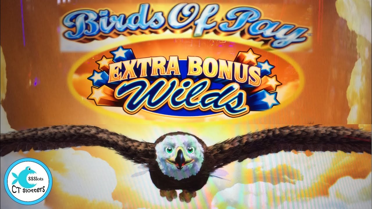 Extra wild bonus slot machine free